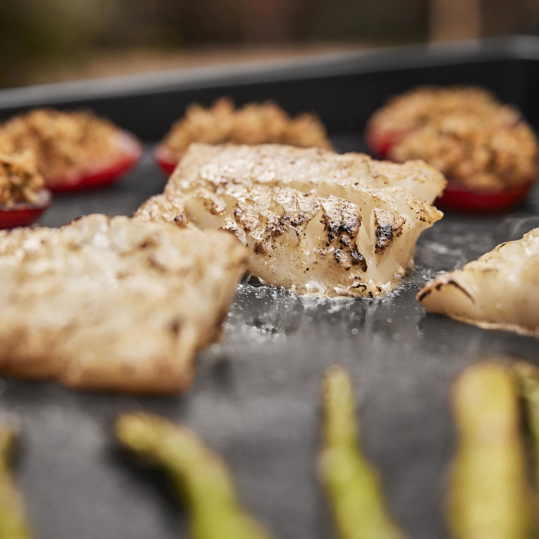 BARBECUE PIASTRA CM.56 2 BRUCIATORI
