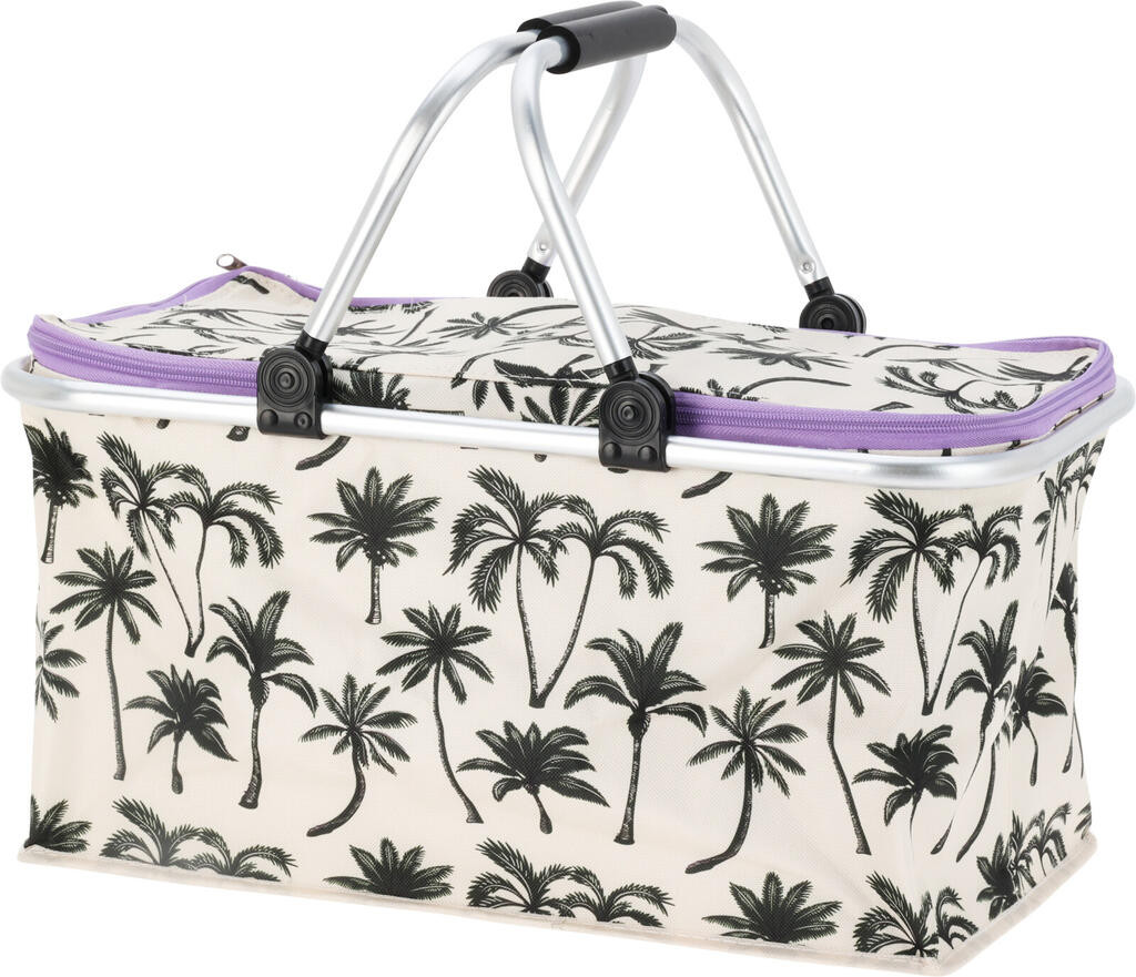 BORSA FRIGO 35LT 48X28X24CM ASS.3