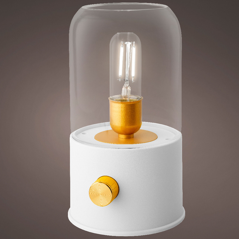 LUCE DA CAMPEGGIO LED RICARICABILE BIANCO