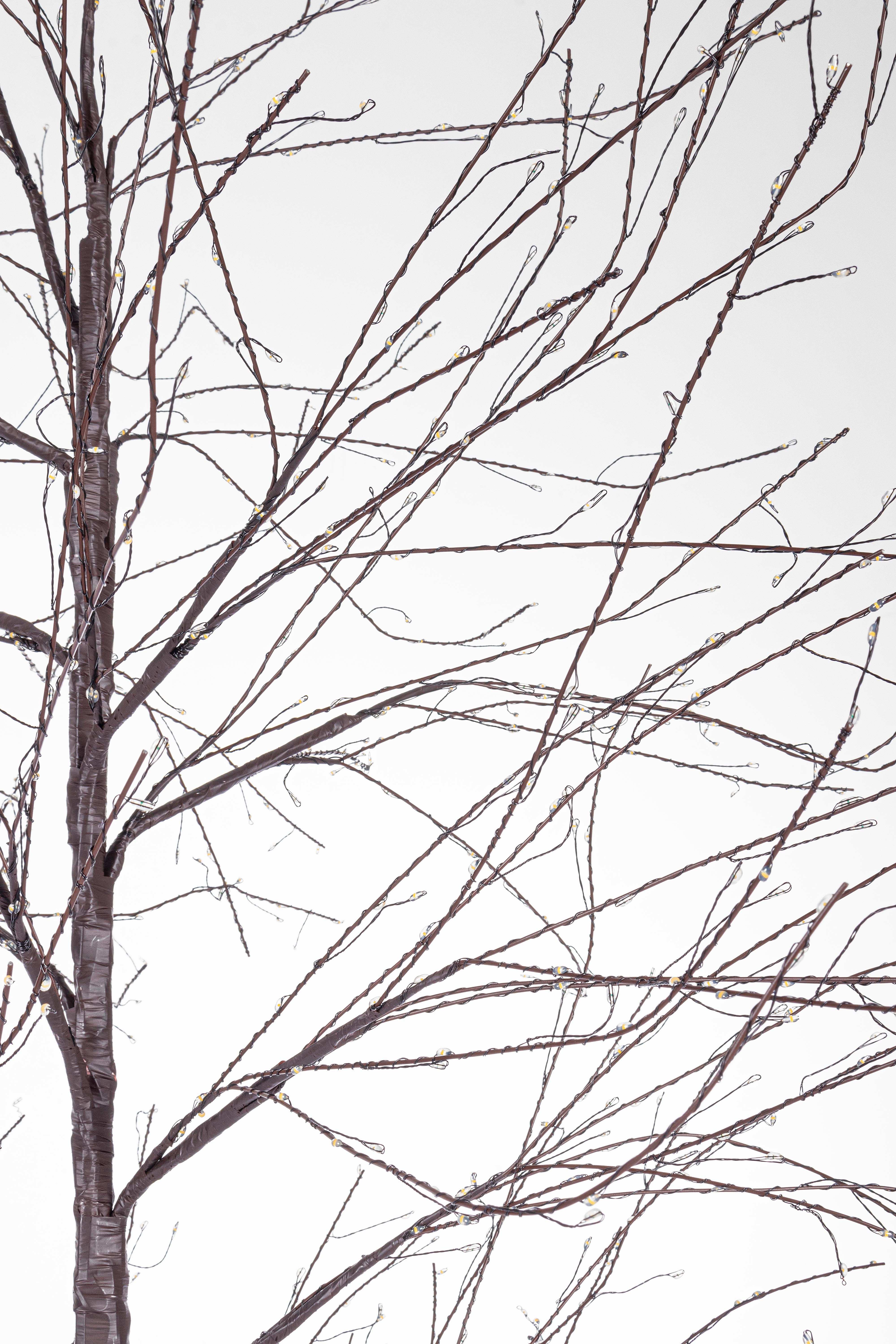 ALBERO BUNCH 600MICROLED H.120