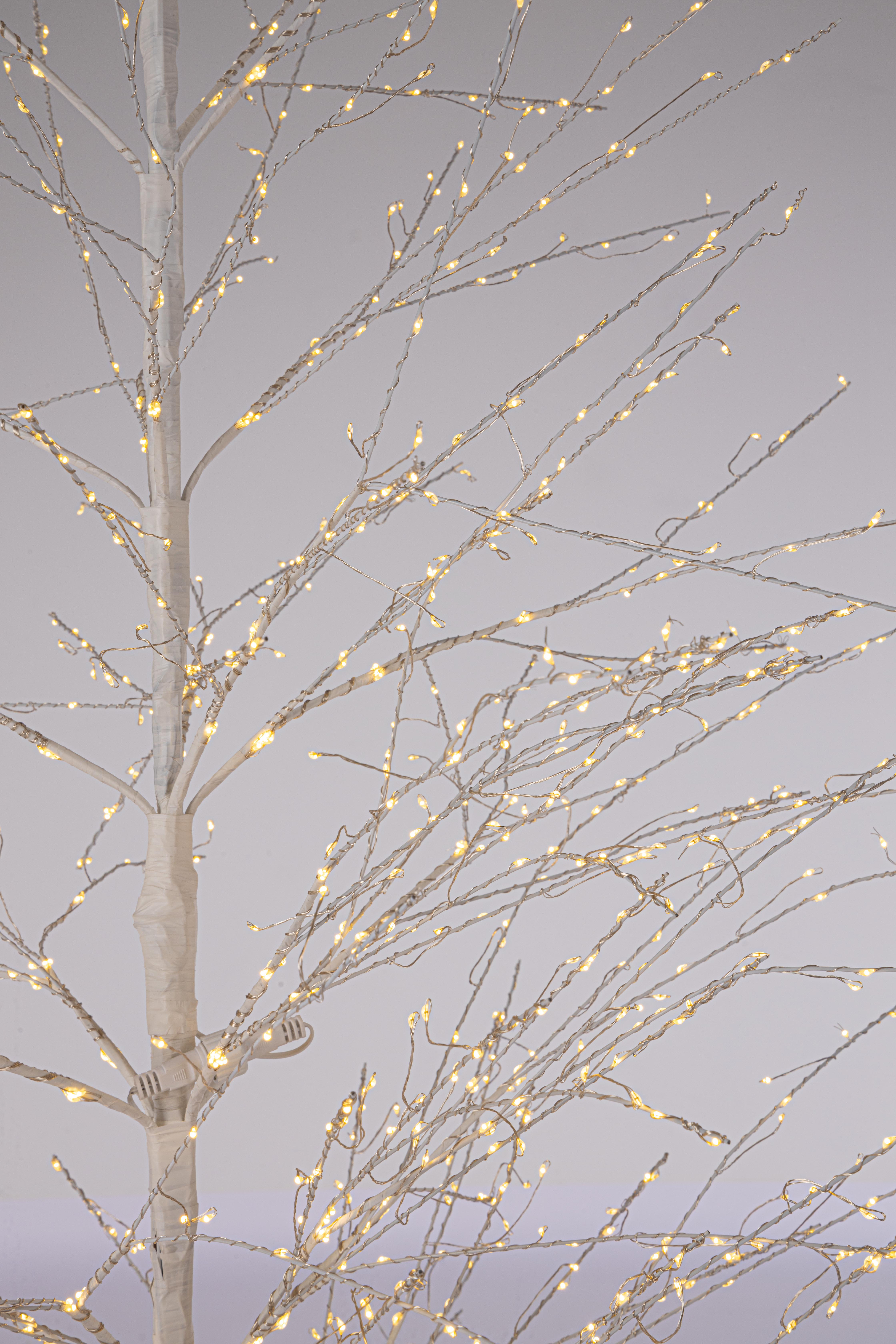 ALBERO B.B.CO 2000 MICROLED CLASS