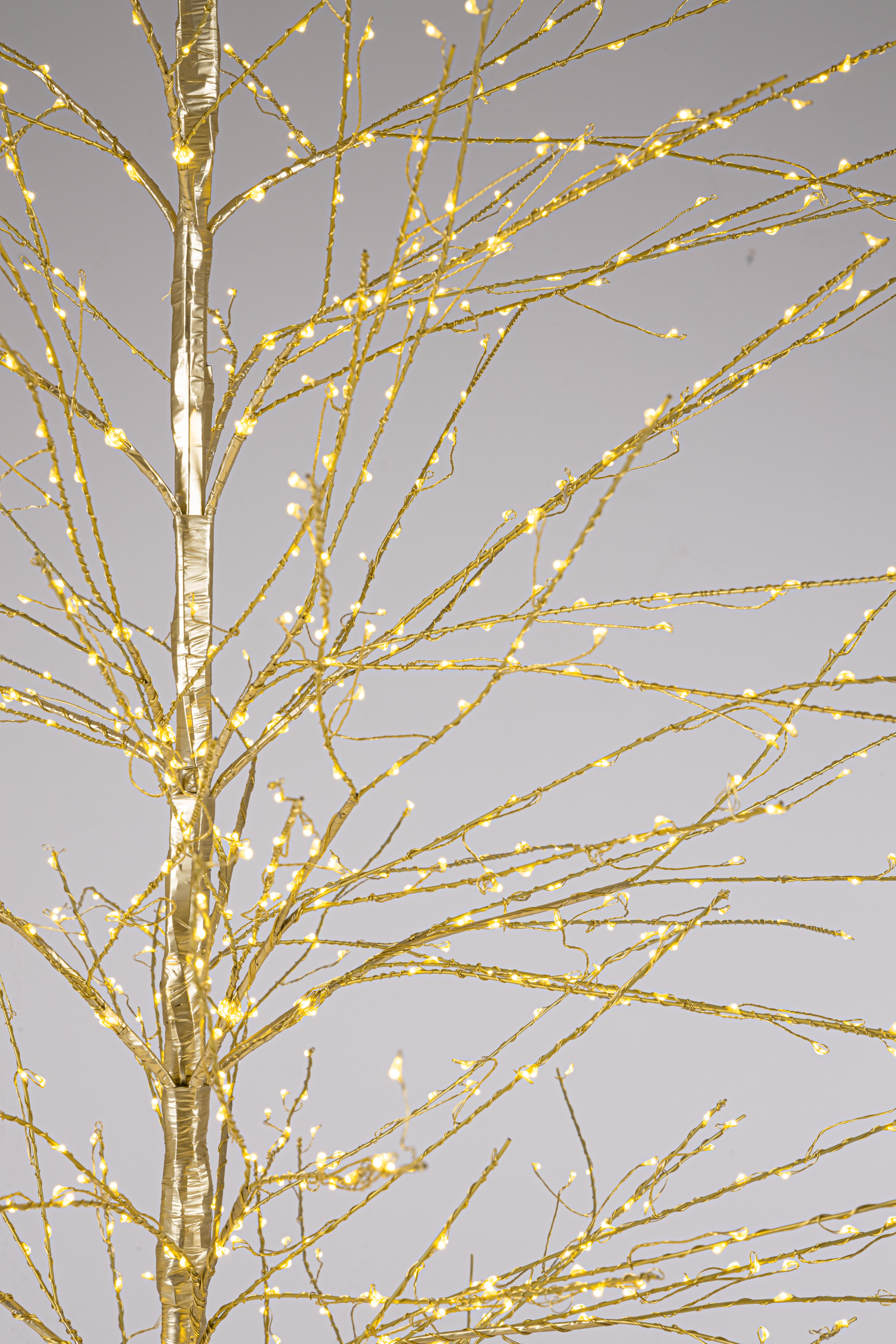 ALBERO BUNCH CH 2000 MICROLED CLASS