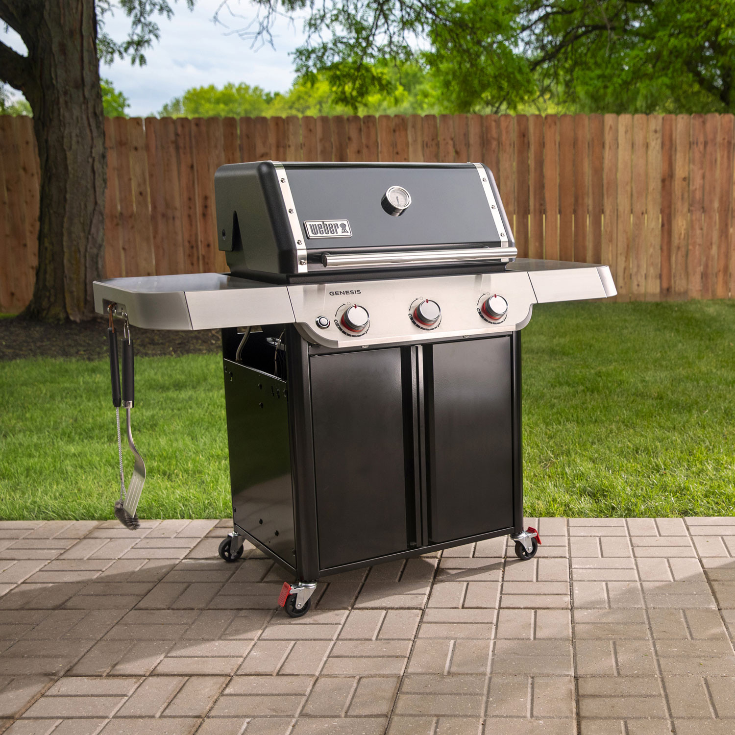BARBECUE A GAS GENESISS E-315