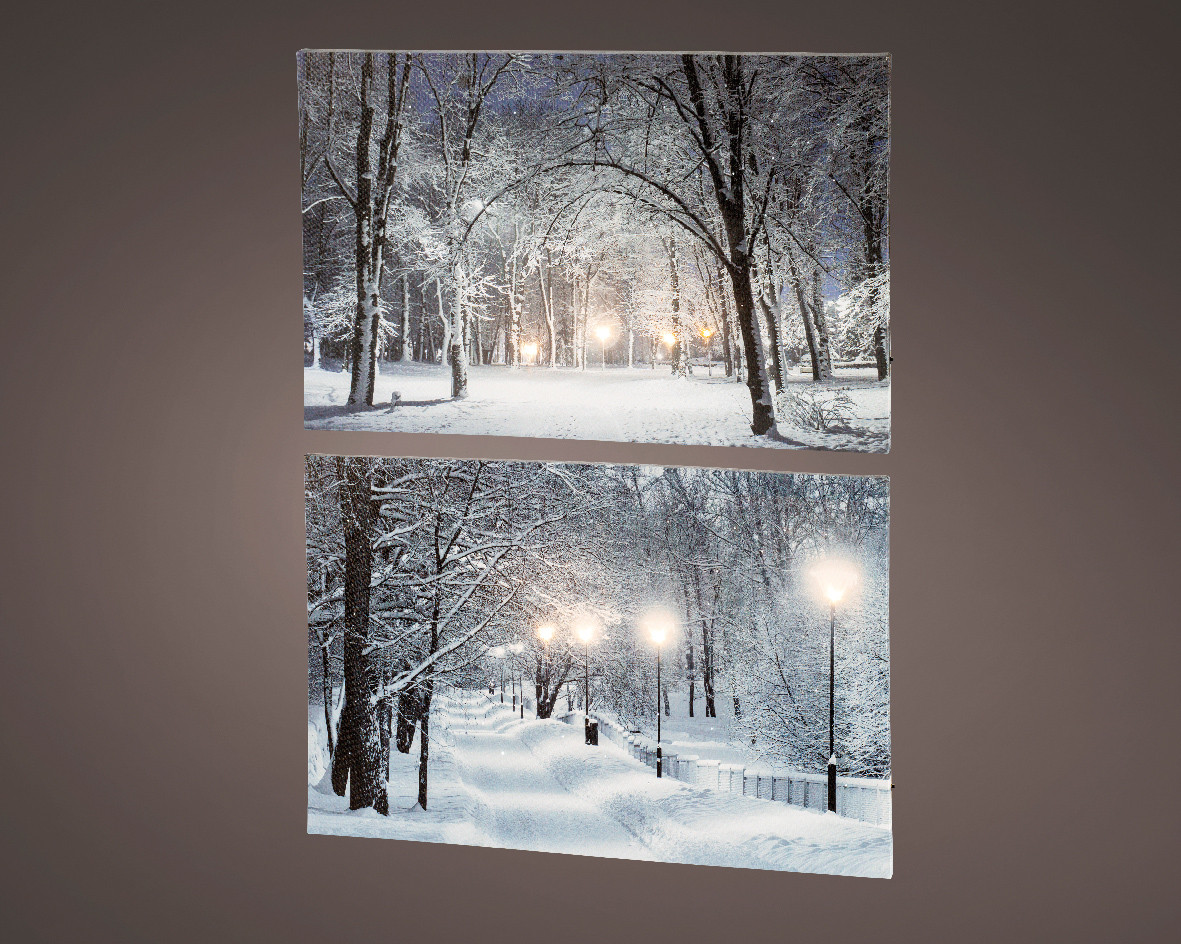 CANVAS A LED CM.58X38H ASS.2