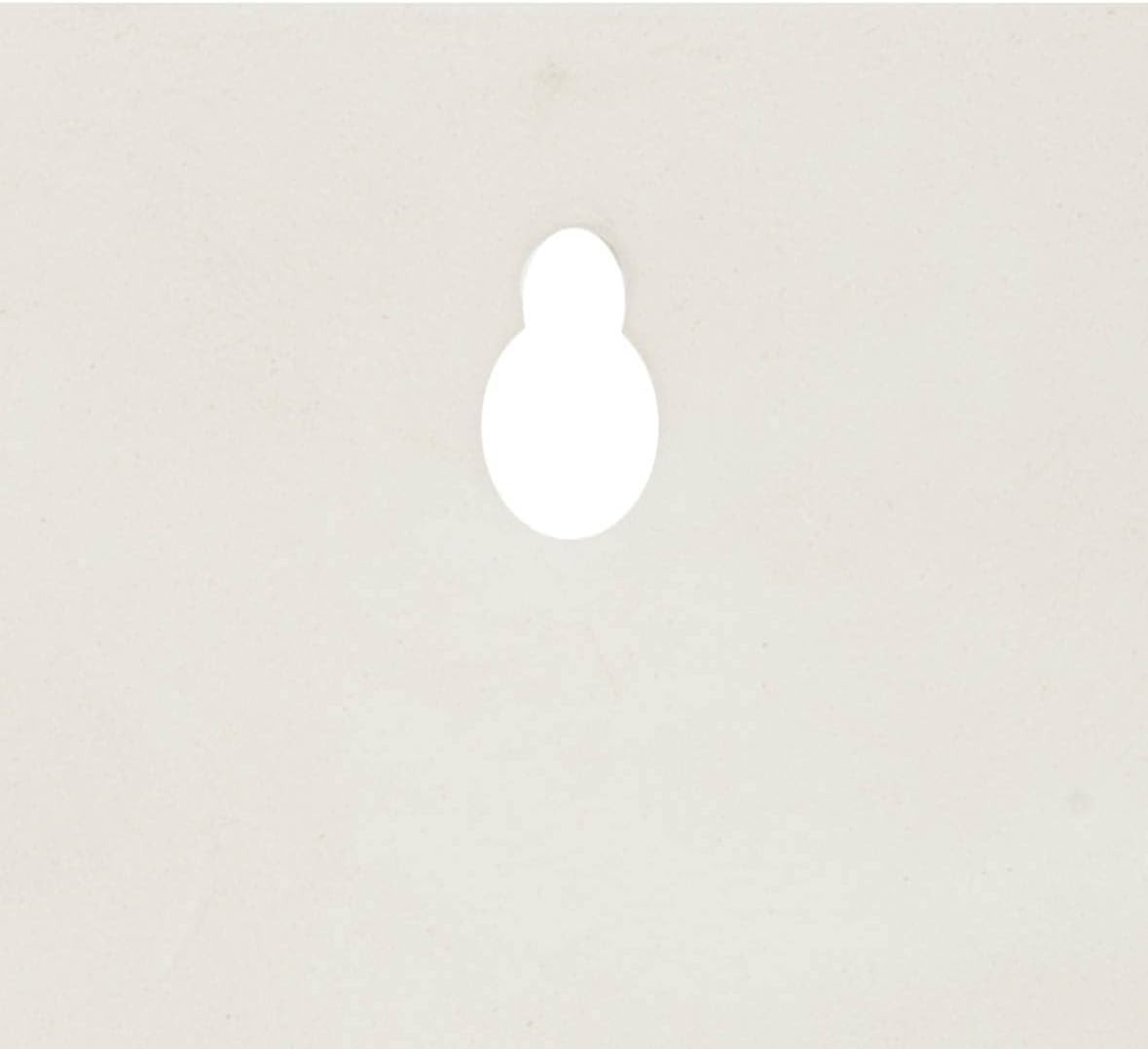 PIANTA CADENTE A MURO CON VASO CEMENTO