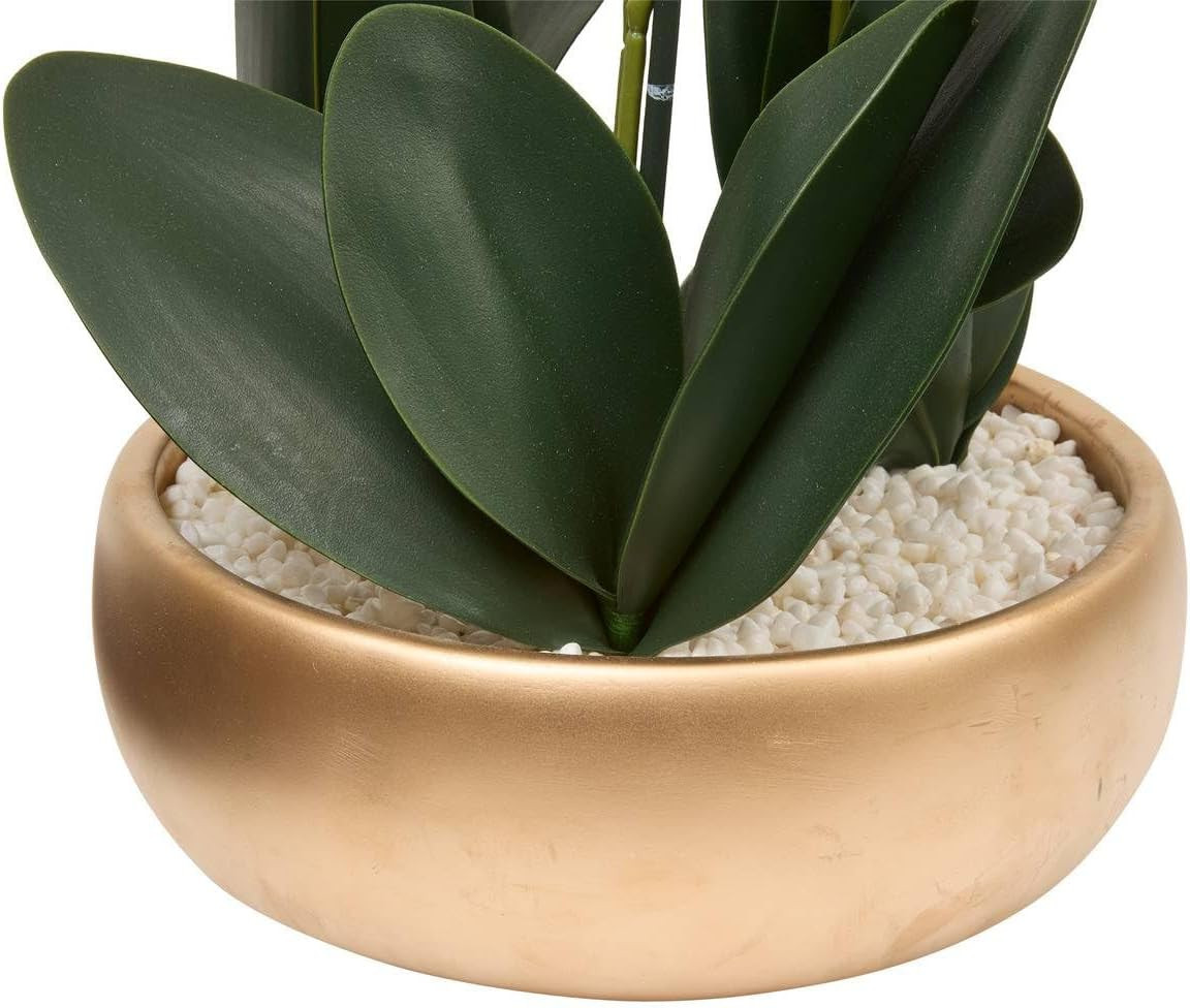 VASO CON ORCHIDEE DORE SANAE H.65