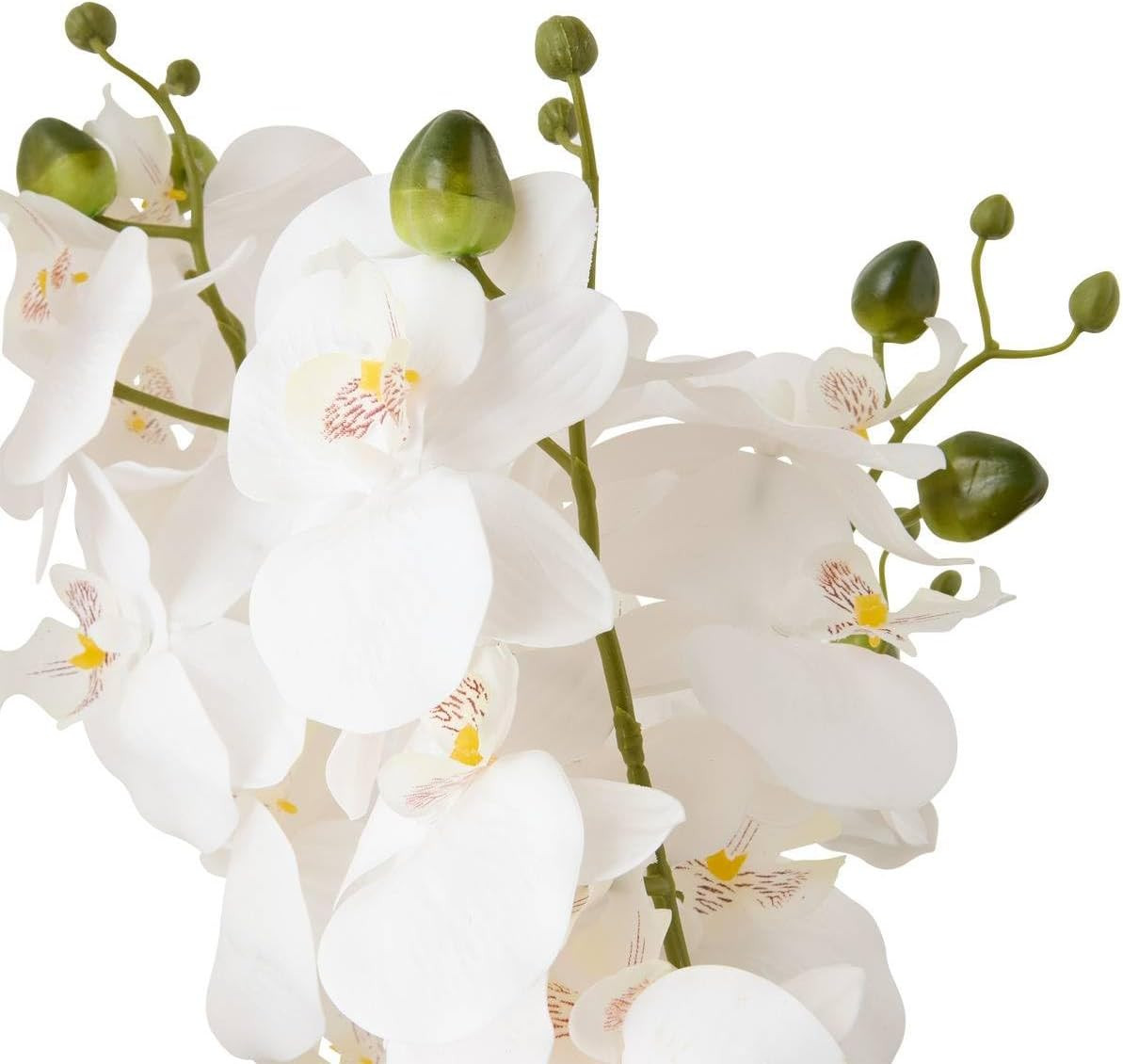 VASO CON ORCHIDEE DORE SANAE H.65