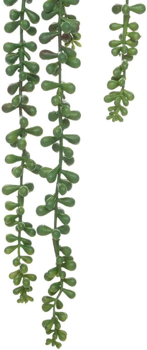 STELO DI PIANTA CAD.SENECIONE H.73