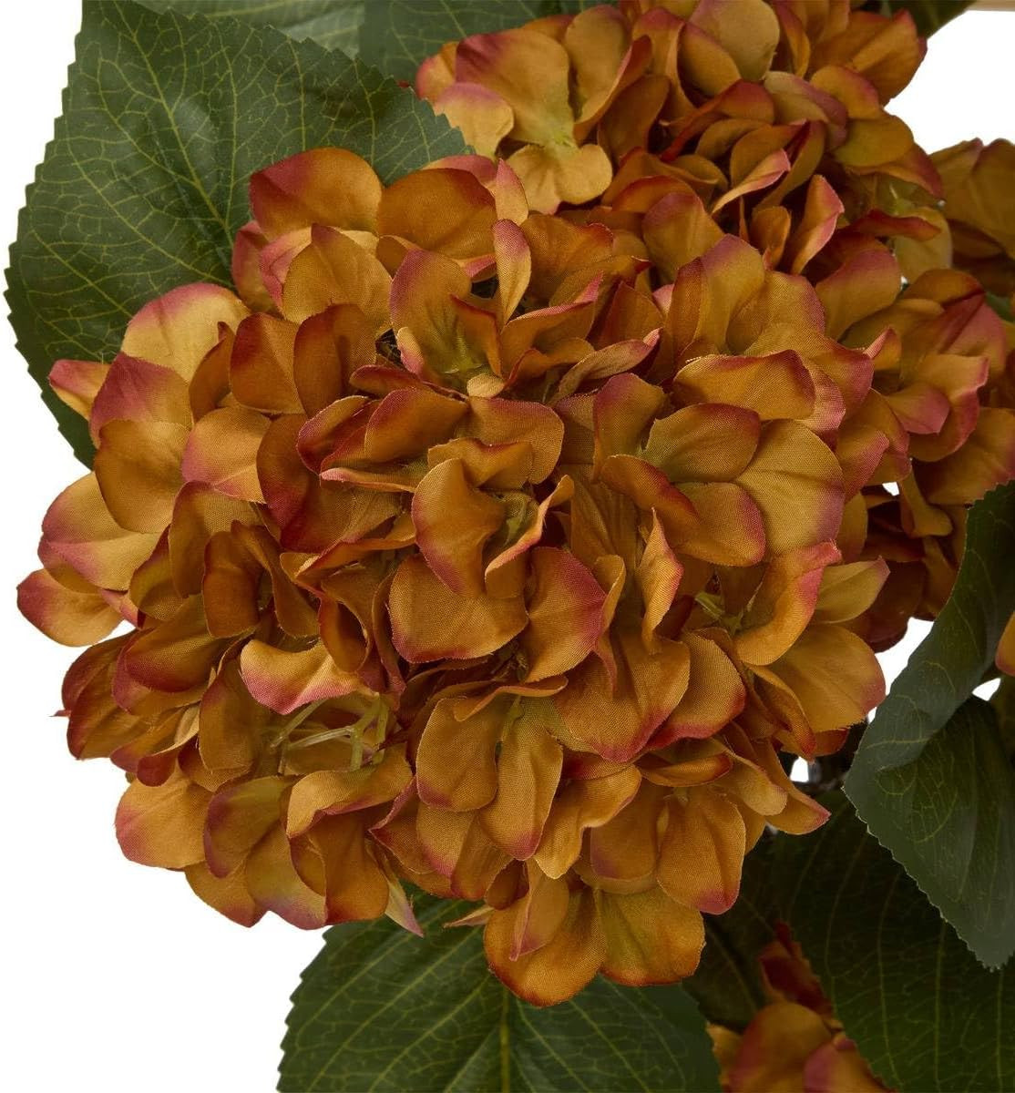 ORTENSIA CON VASO CERAMICA H.100 BIANCO