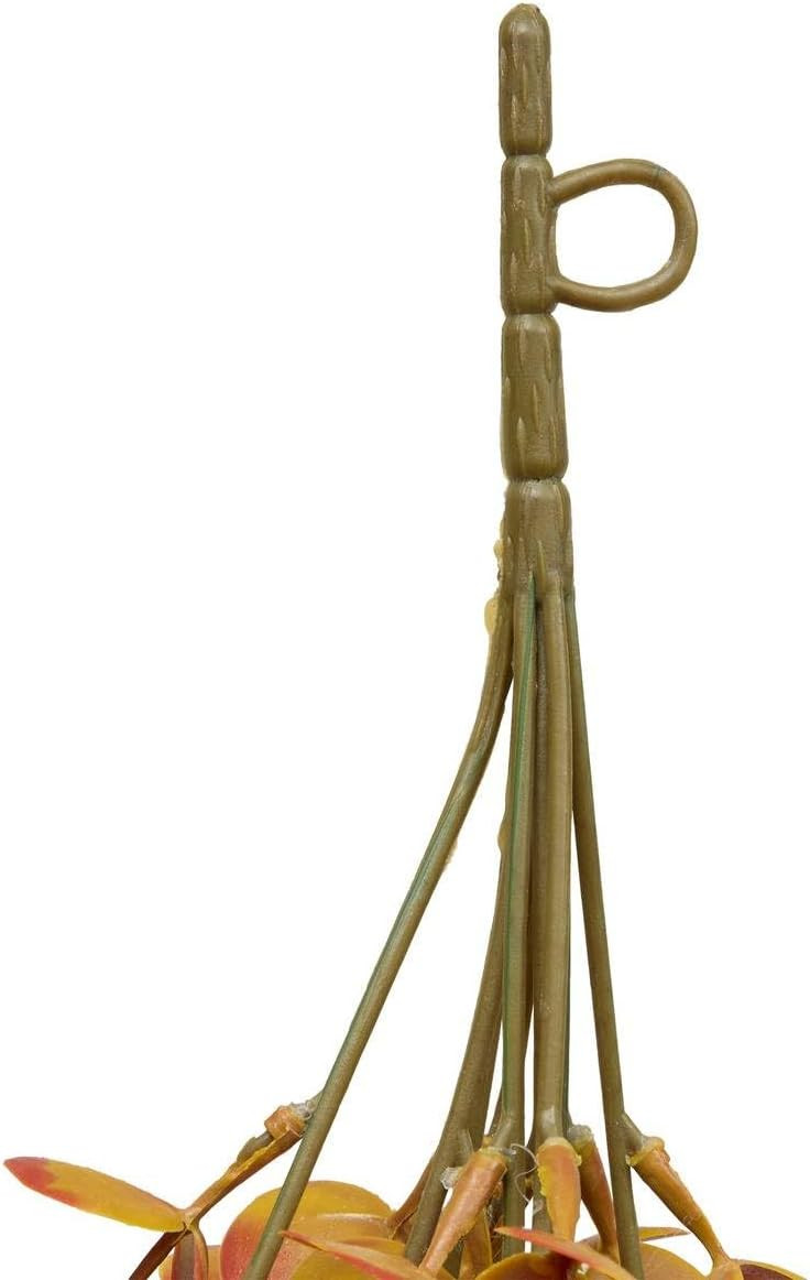 TIGETOMBA EUCA AANCIONE L.80