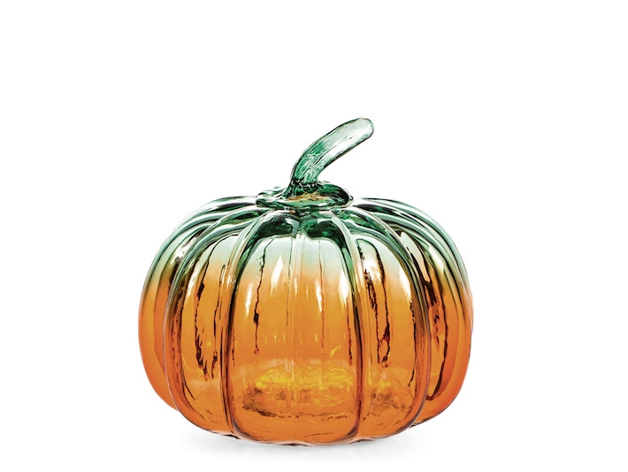 ZUCCA VTR BICOLORE ASSORTITA