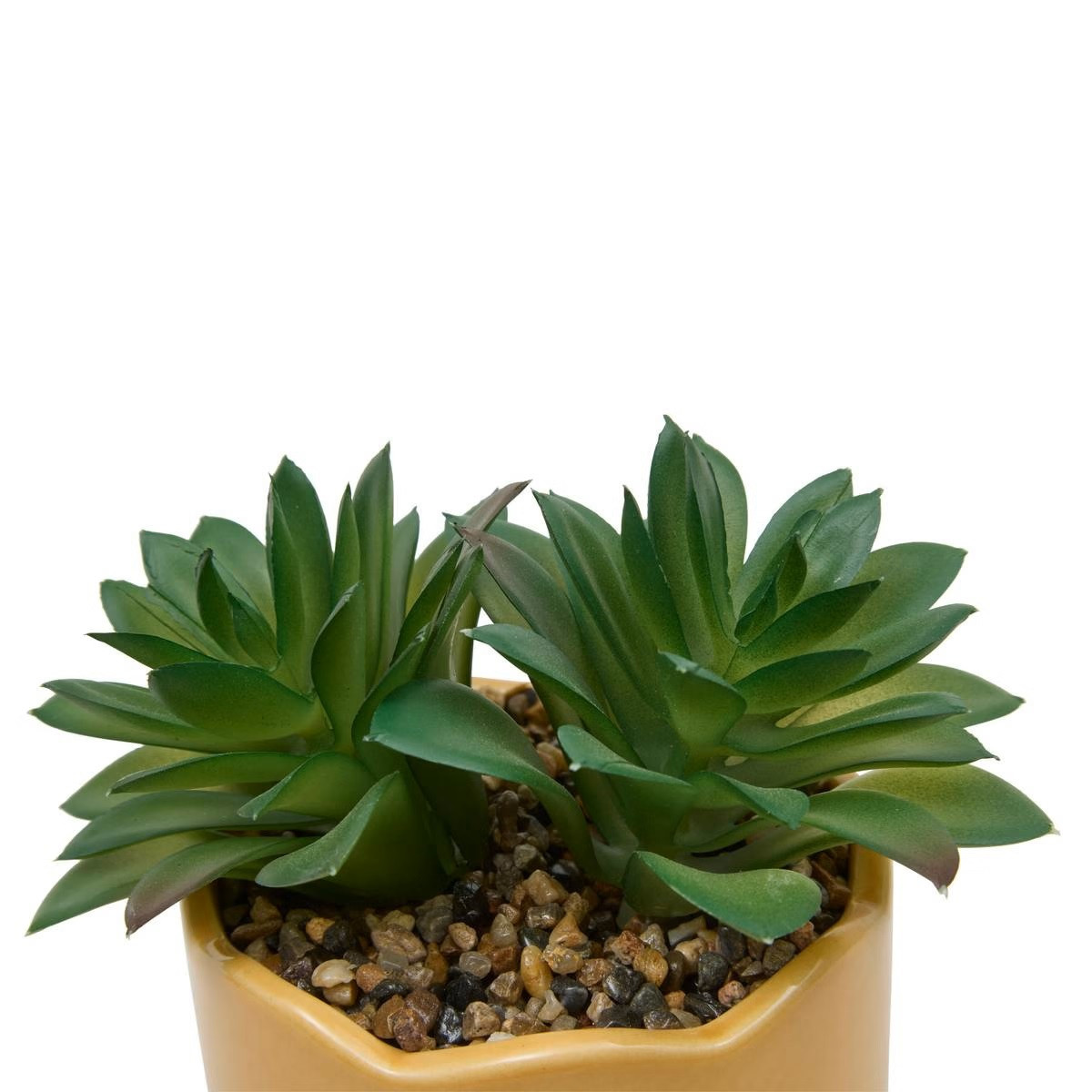 PIANTA C/VASO CCERAMICA H.17 ASS.