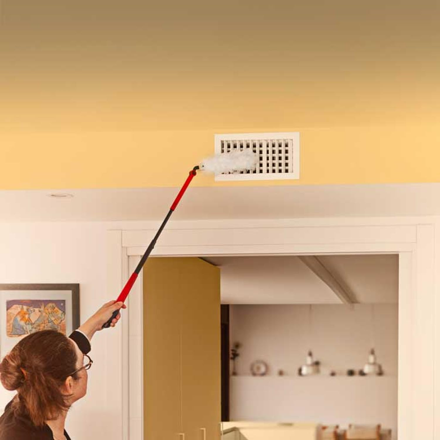 LONG HANDLE SYSTEM + 1 RICAMBIO