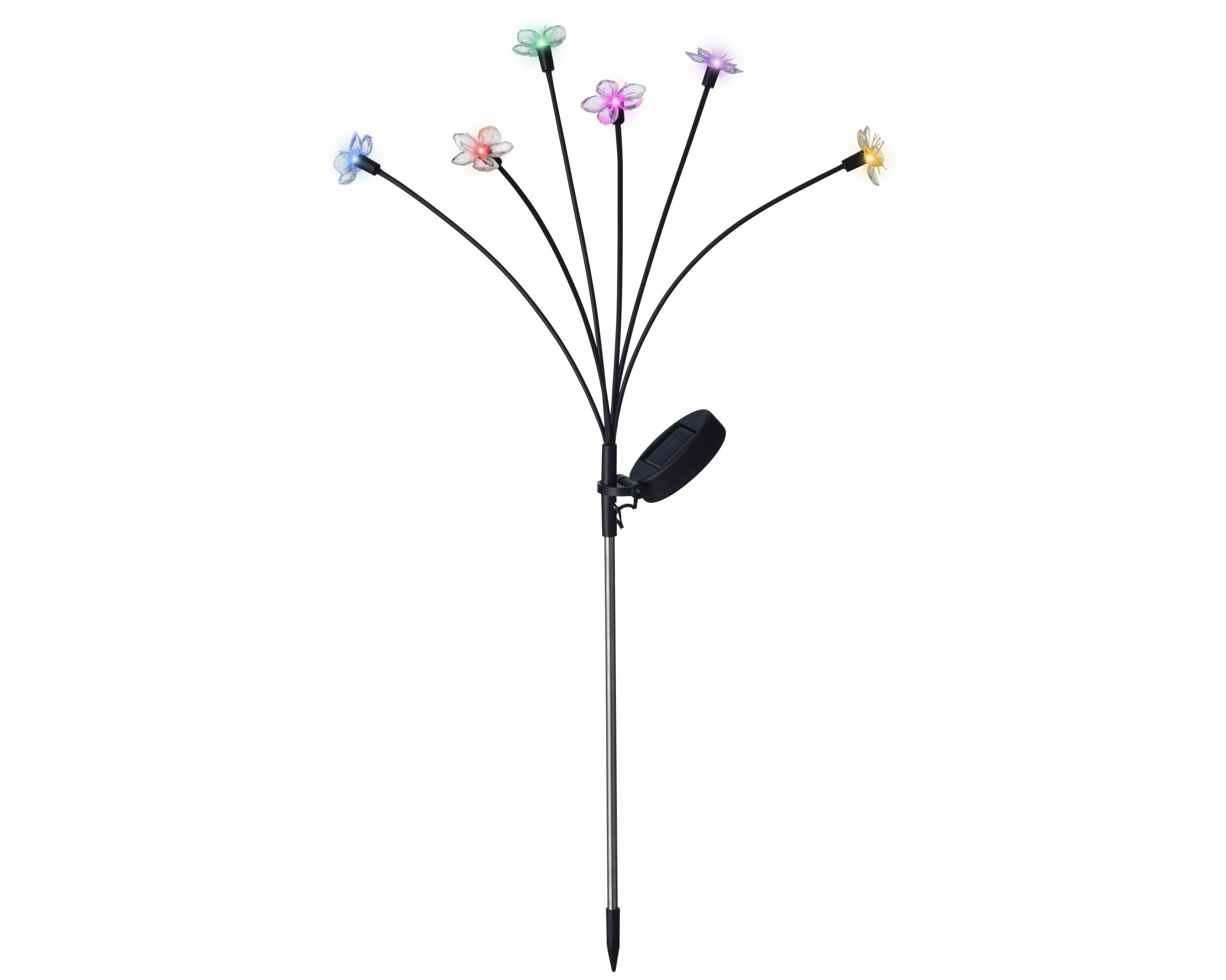 FIORI SOLARI CM.70