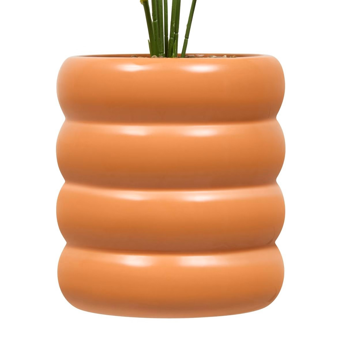 STRELITZIA H.45 C/VASO CERAMICA