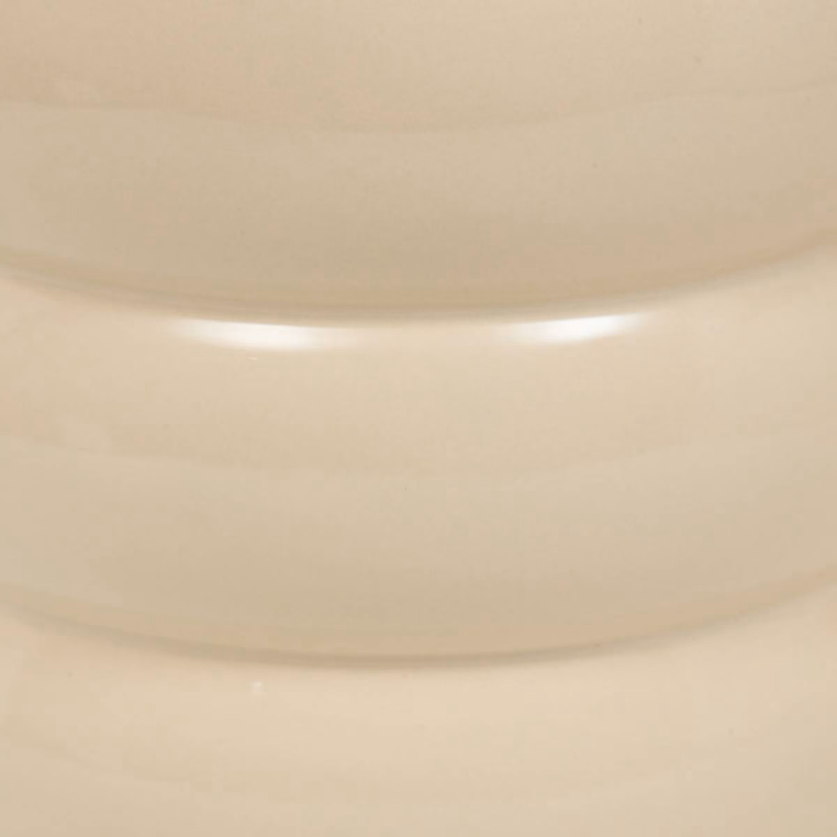 STRELITZIA H.45 C/VASO CERAMICA