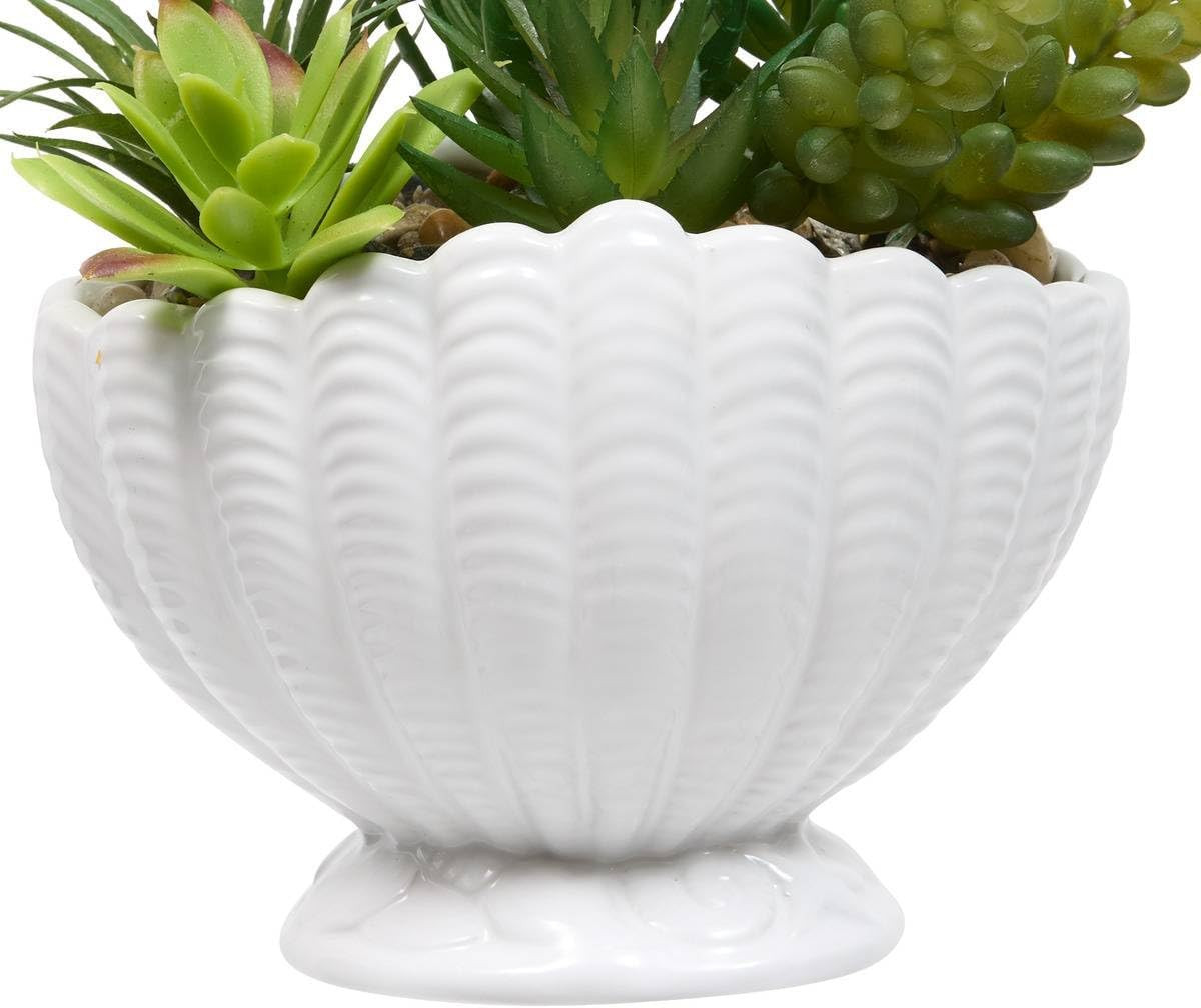 OCEA H.20 CON VASO CONCHIGLIA B.CO