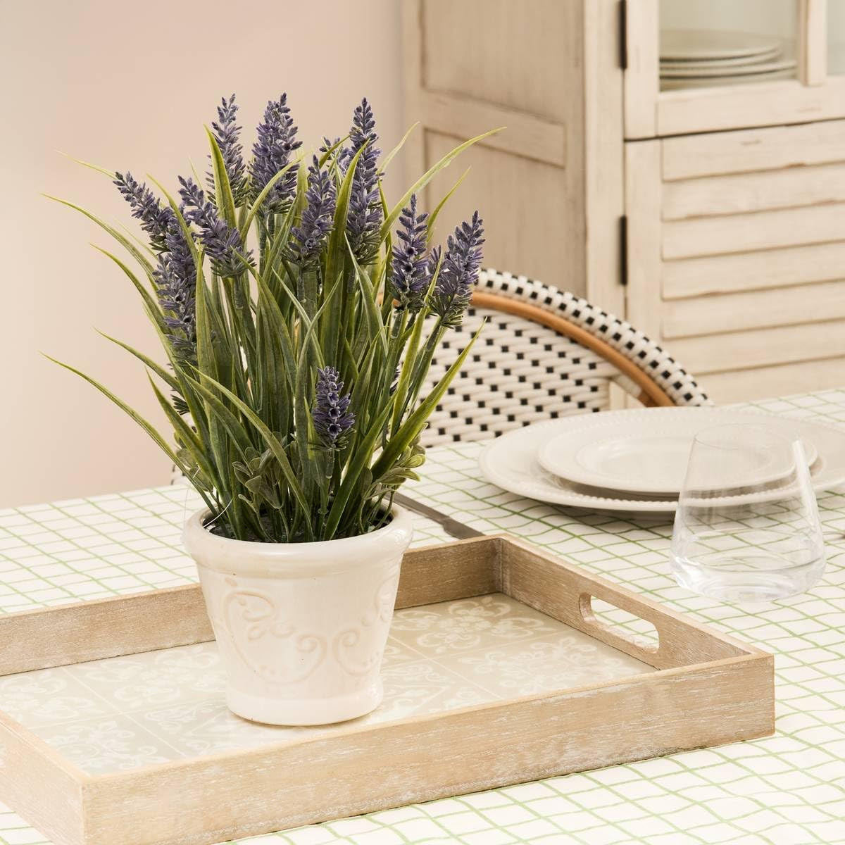 LAVANDA PROVENCE H.35 CON VASO
