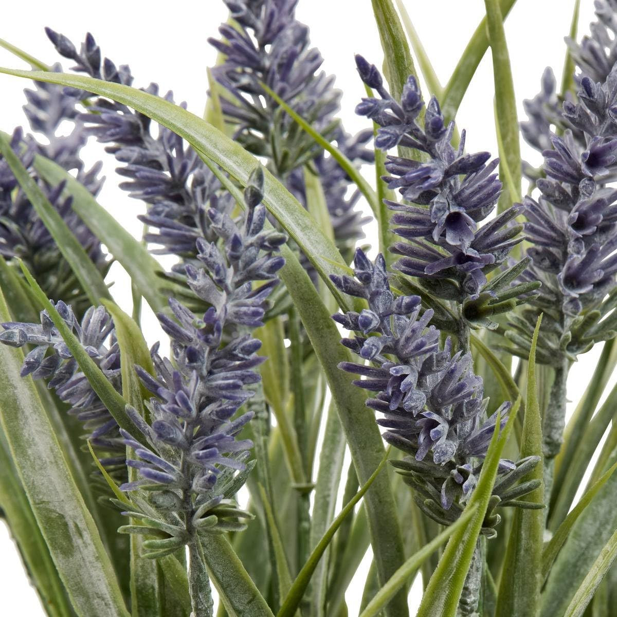 LAVANDA PROVENCE H.35 CON VASO