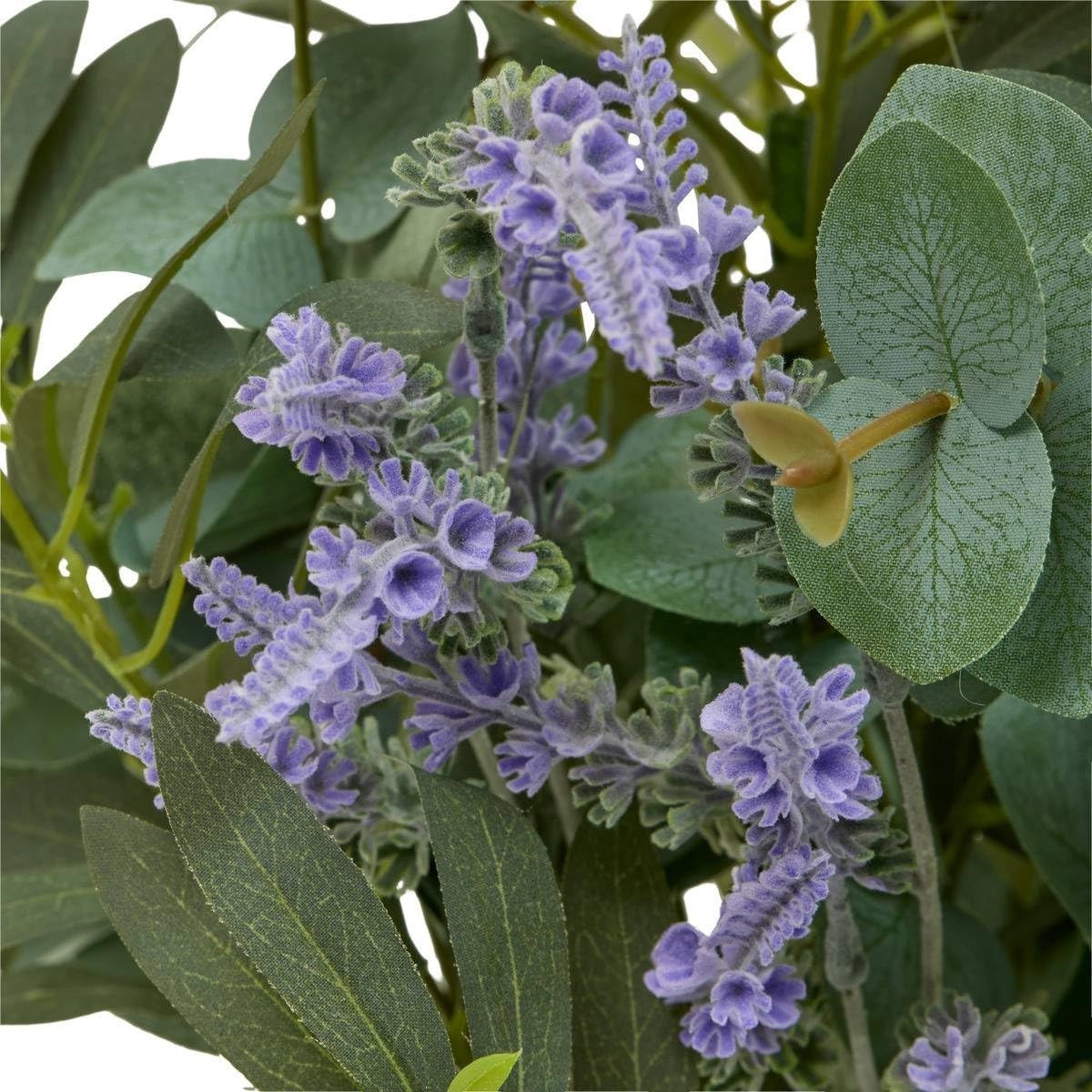 EUCALIPTO E LAVANDA H.68 C/VASO CER