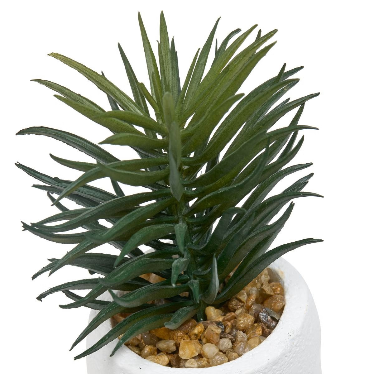PIANTA GRASSA TERI H.13 C/VASO VOLTO
