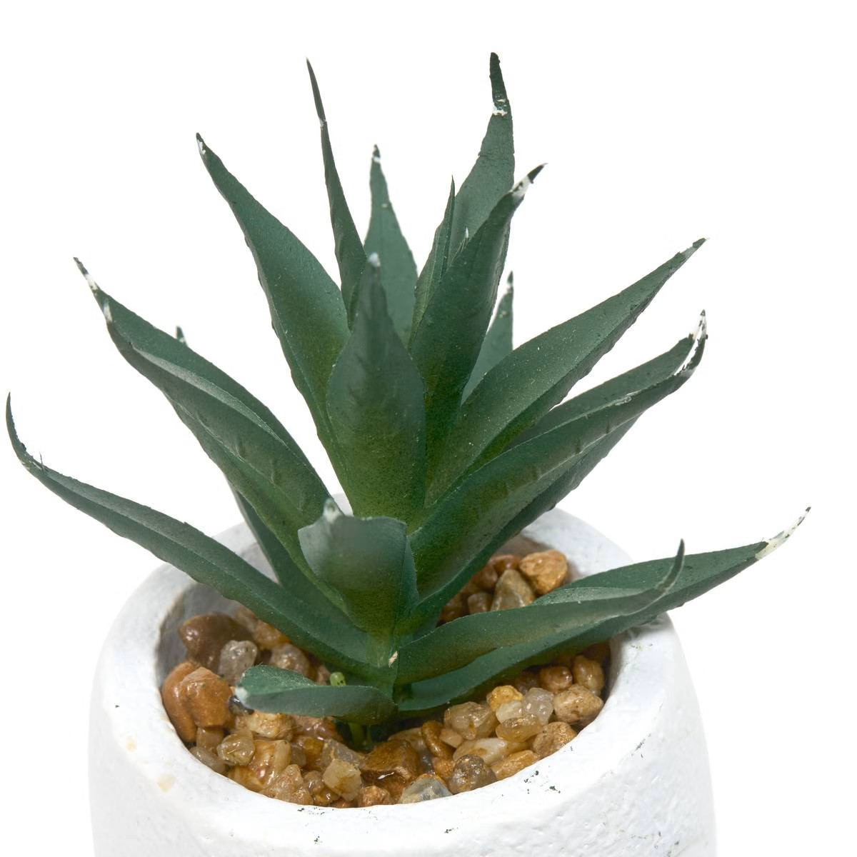 PIANTA GRASSA TERI H.13 C/VASO VOLTO