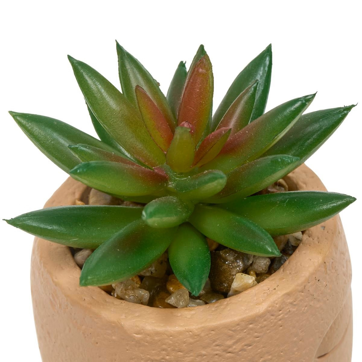 PIANTA GRASSA TERI H.13 C/VASO VOLTO