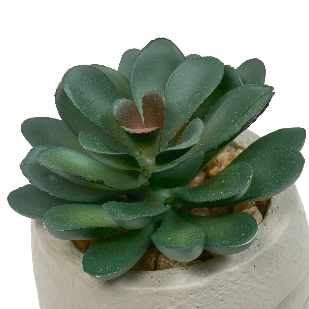 PIANTA GRASSA TERI H.13 C/VASO VOLTO