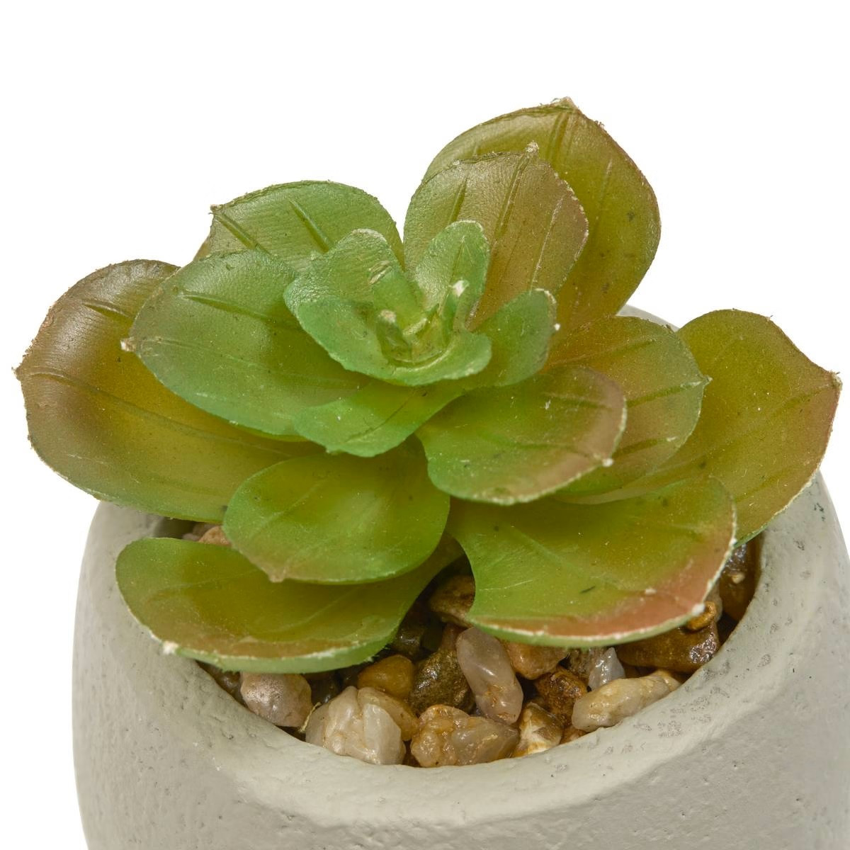 PIANTA GRASSA TERI H.13 C/VASO VOLTO