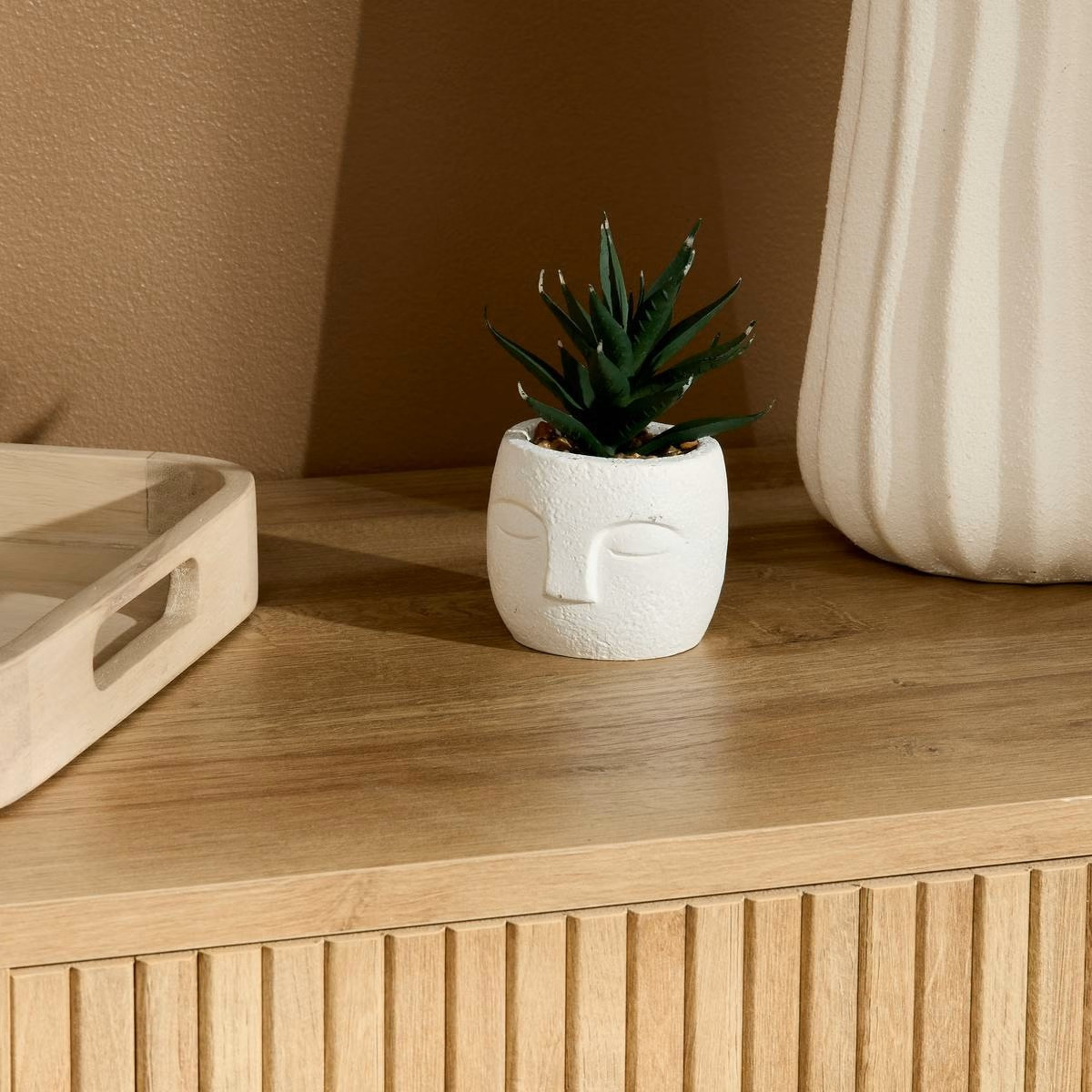 PIANTA GRASSA TERI H.13 C/VASO VOLTO
