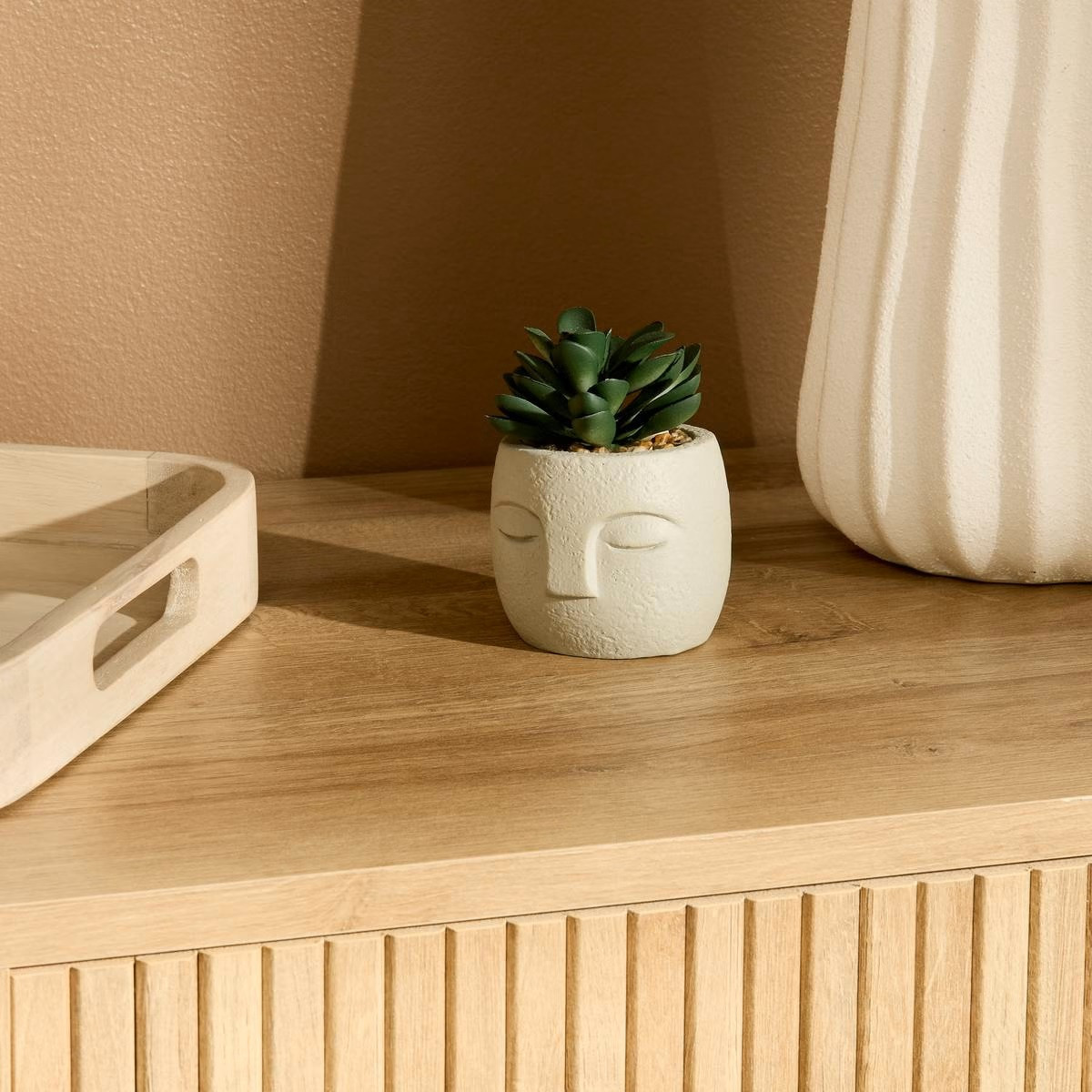 PIANTA GRASSA TERI H.13 C/VASO VOLTO