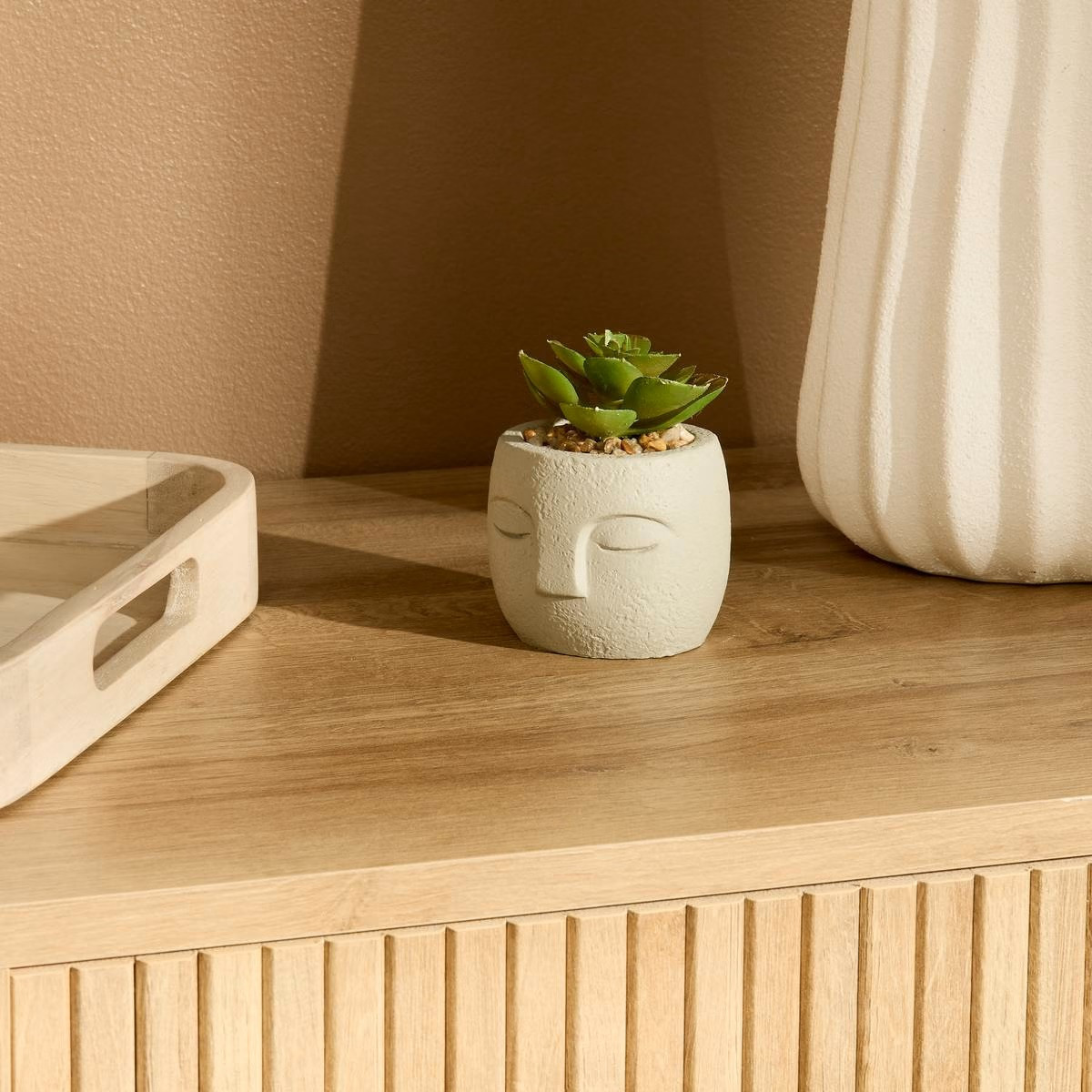 PIANTA GRASSA TERI H.13 C/VASO VOLTO