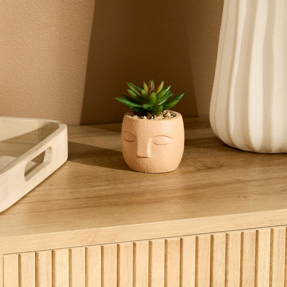 PIANTA GRASSA TERI H.13 C/VASO VOLTO