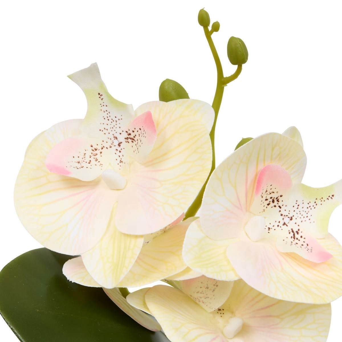 ORCHIDEA CON VASO H.25 ASS.3