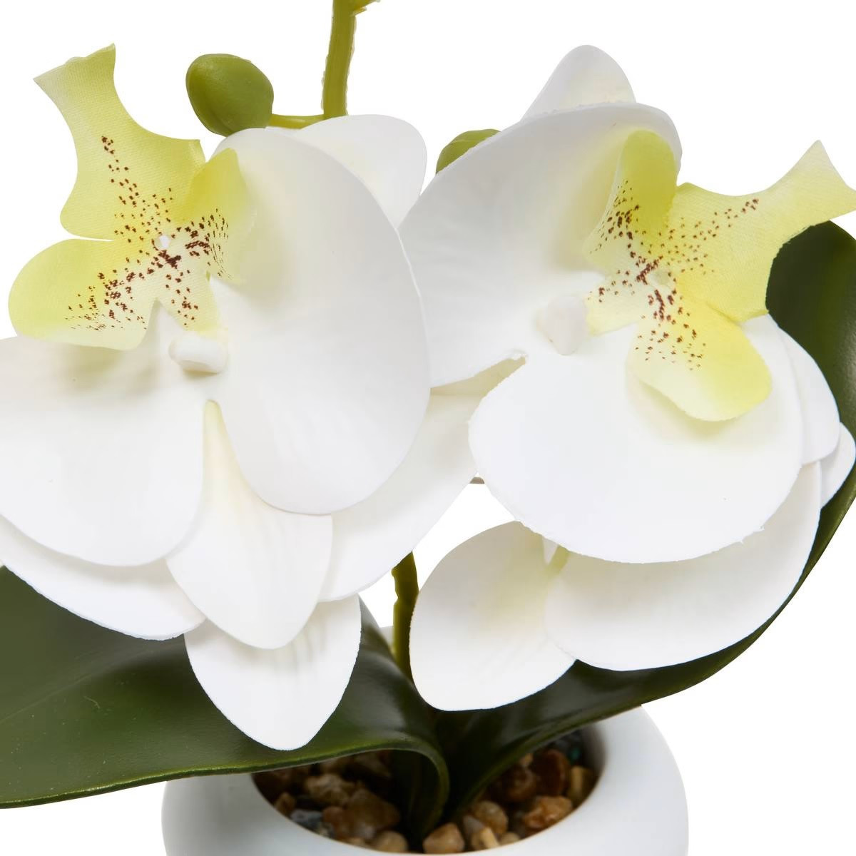 ORCHIDEA CON VASO H.25 ASS.3