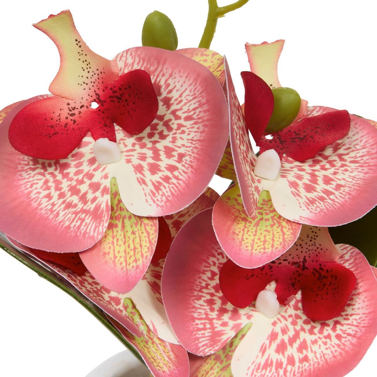 ORCHIDEA CON VASO H.25 ASS.3