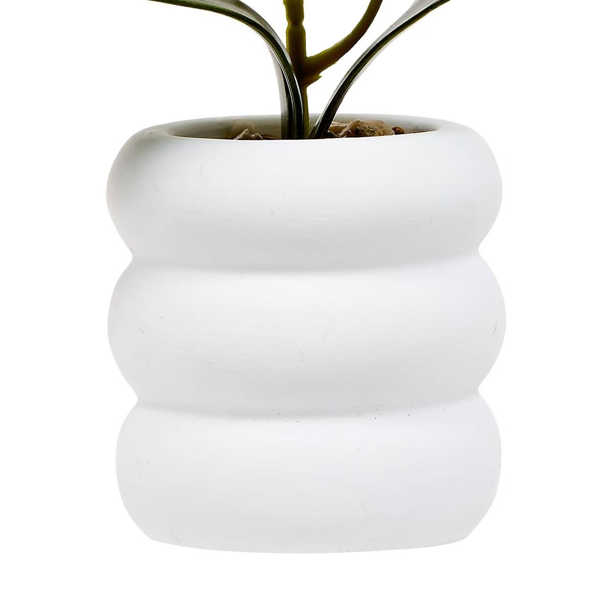 ORCHIDEA CON VASO H.25 ASS.3