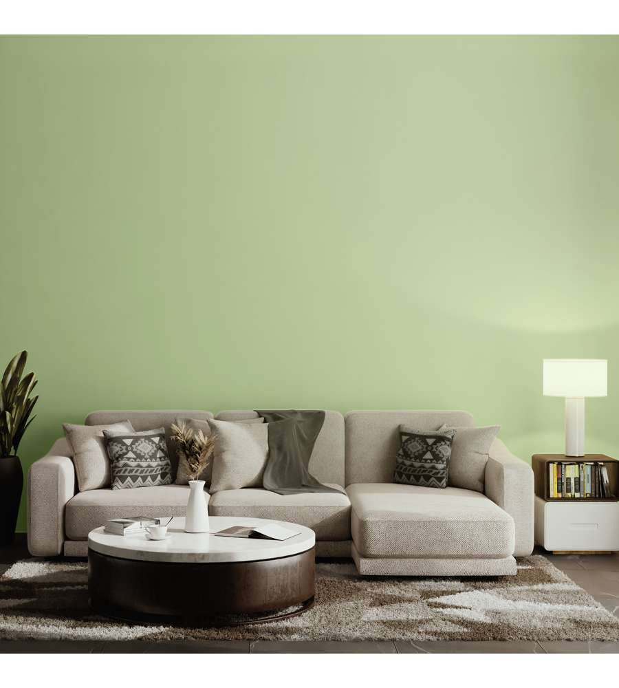 PITTURA HOME COLOR AVOCADO LT.2.5