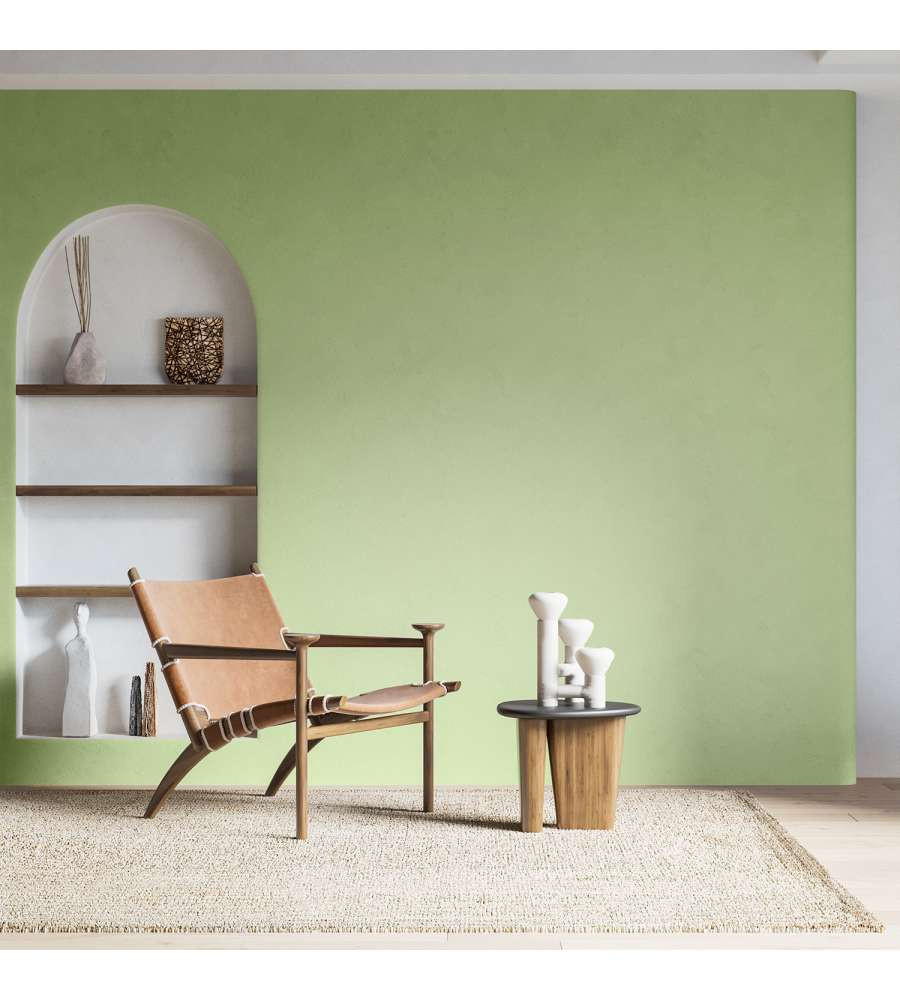 PITTURA HOME COLOR AVOCADO LT.2.5