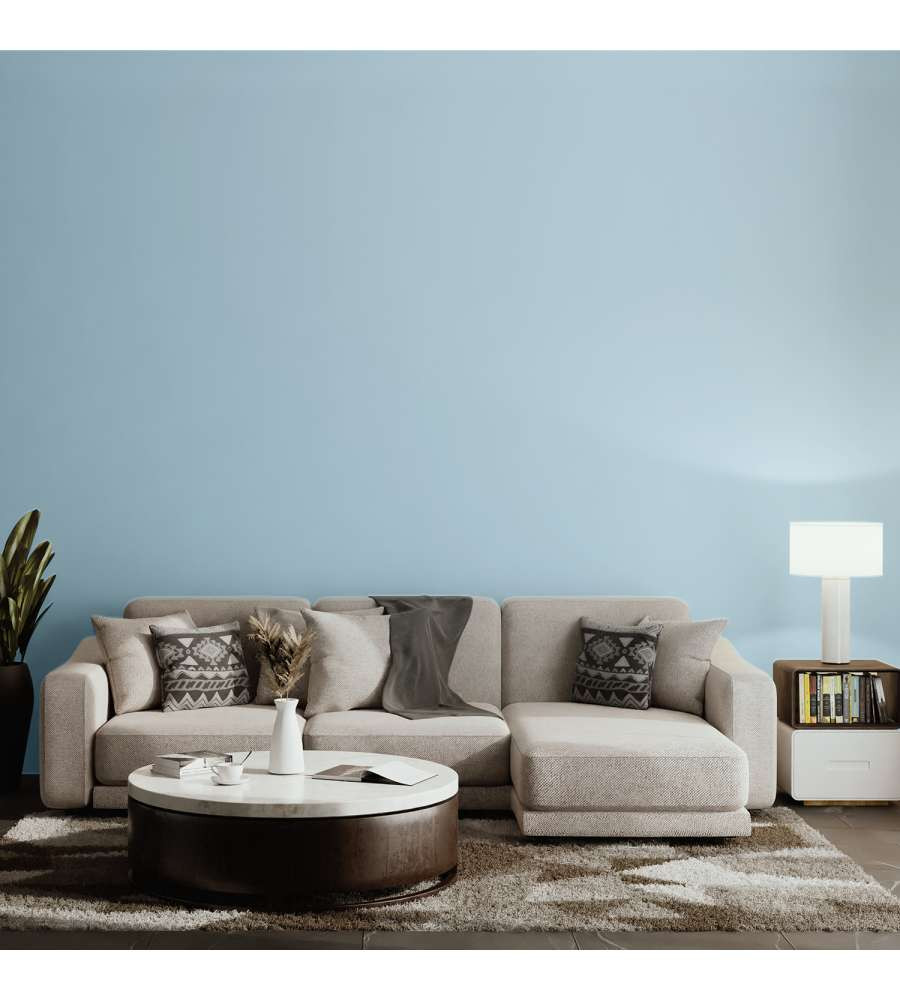 PITTURA HOME COLOR LAKE LT.2.5