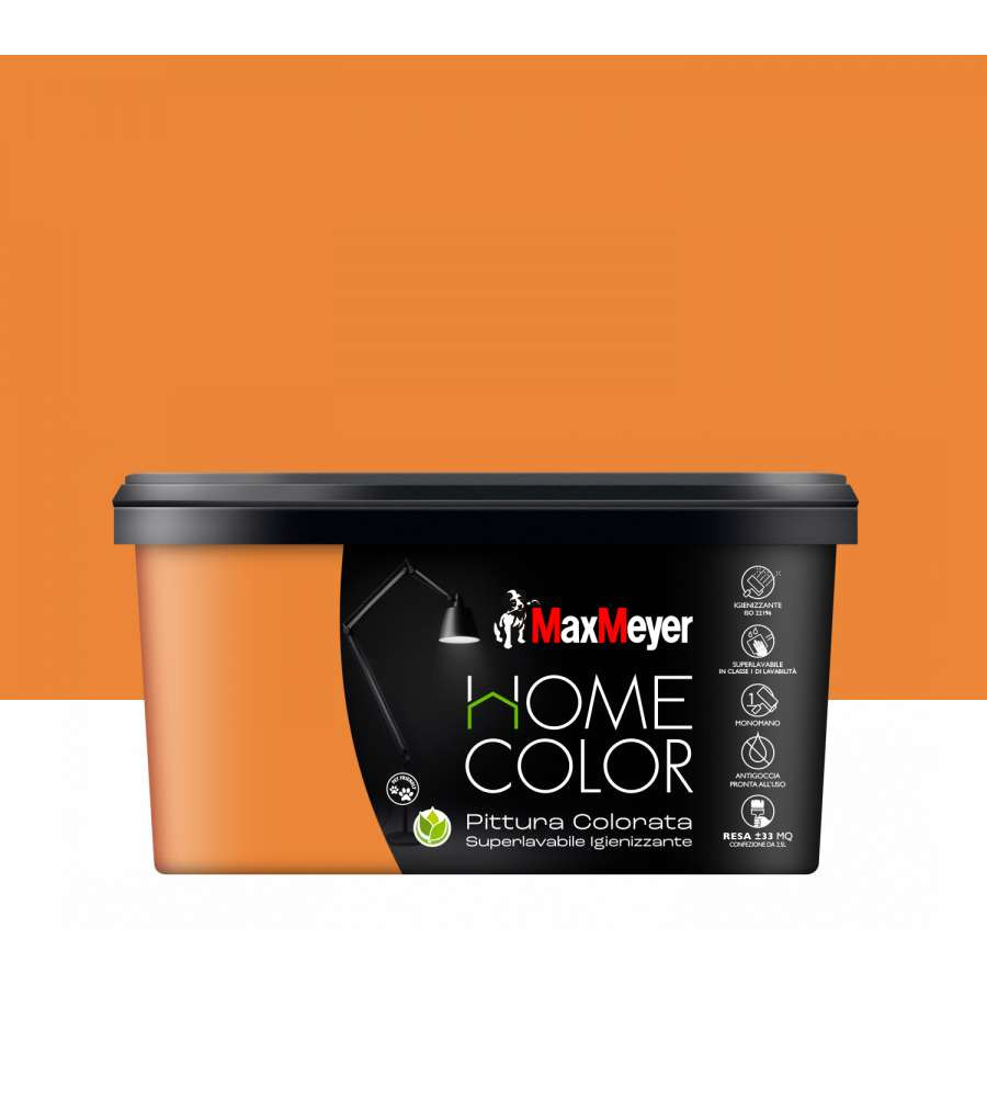 PITTURA HOME COLOR SCORZA AR.LT.2.5