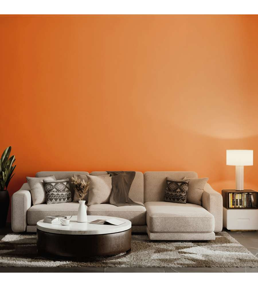 PITTURA HOME COLOR SCORZA AR.LT.2.5