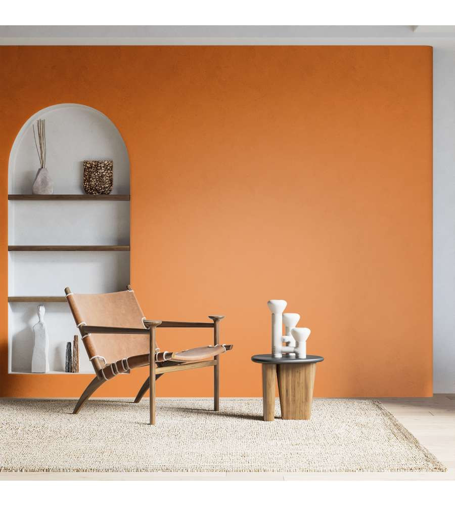 PITTURA HOME COLOR SCORZA AR.LT.2.5