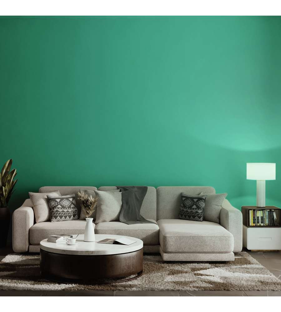 PITTURA HOME COLOR PAVONE LT.2.5