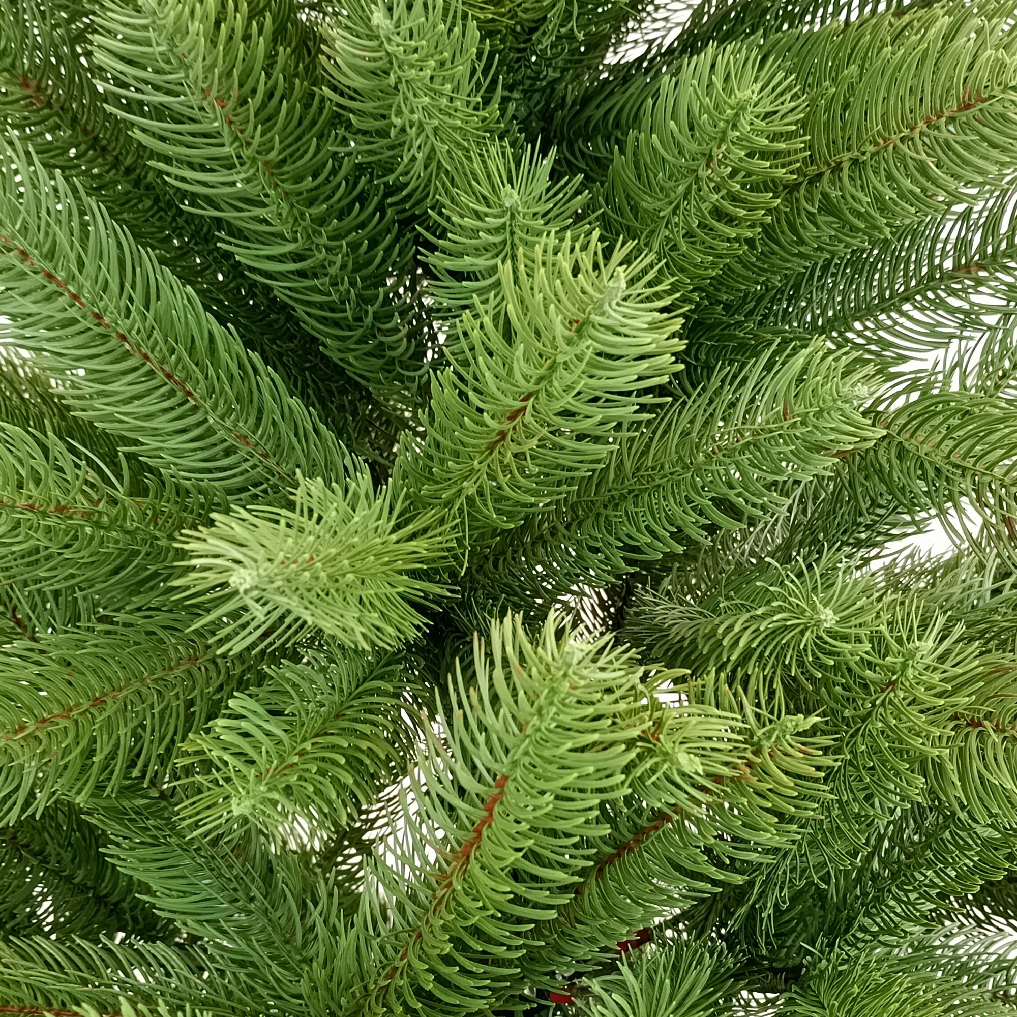 ALBERO DI NATALE SILICONE CM.240 C/2000 LED 1598 P