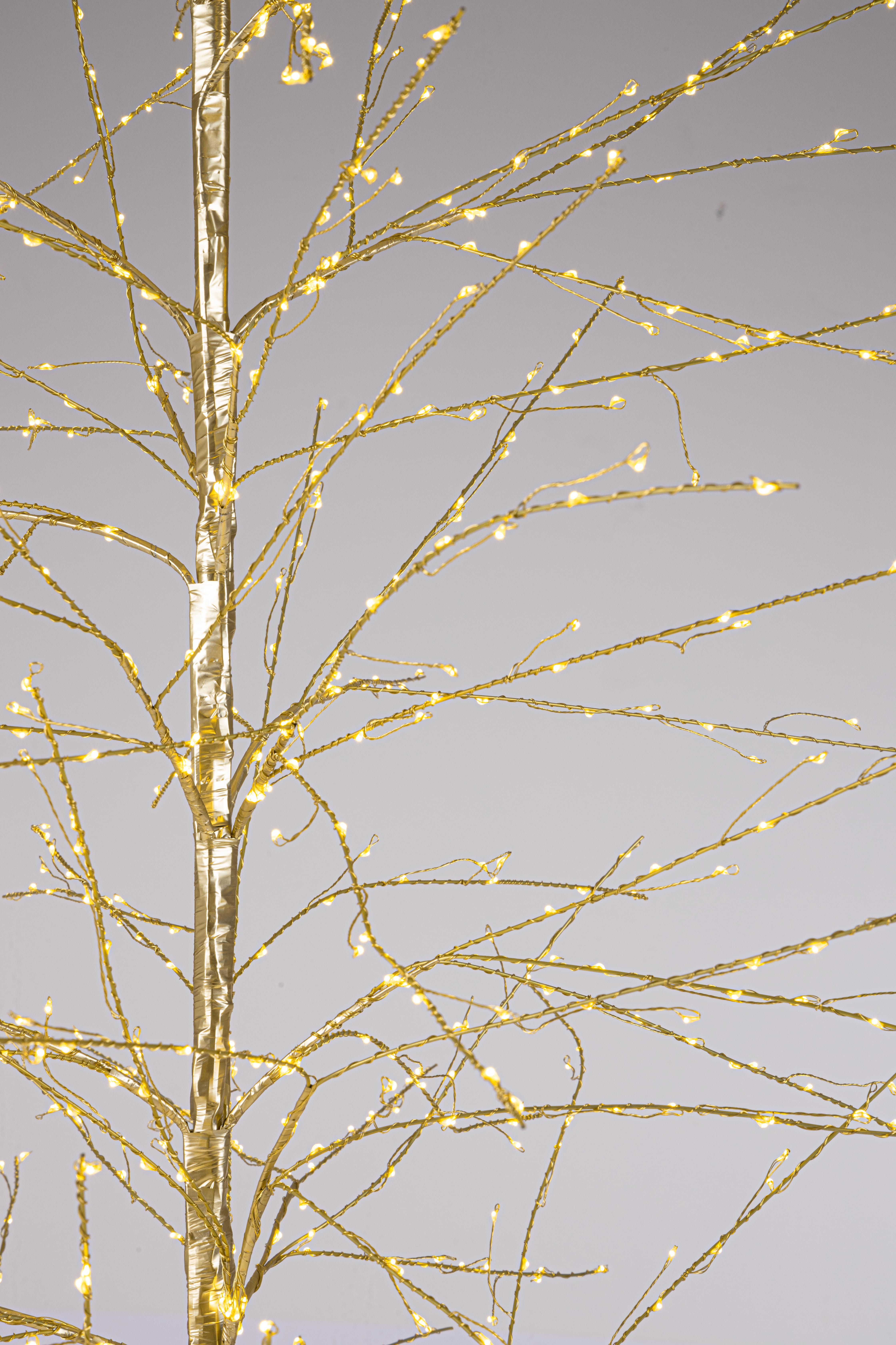 ALBERO BUNCH CH.1500MICROLED CLASS