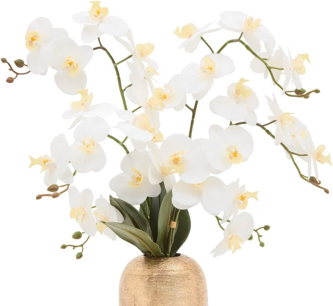ORCHIDEA NAOKO H.77 C/VASO CERAMICA DORATO