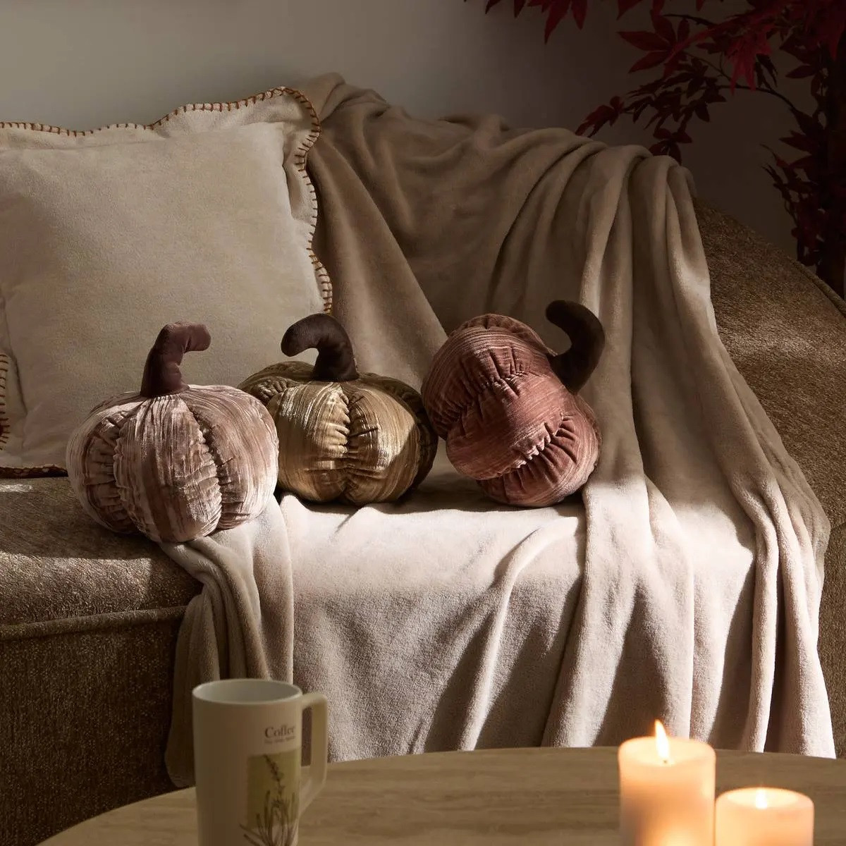 CUSCINO ZUCCA AUTOMNE CM.22 ASS.
